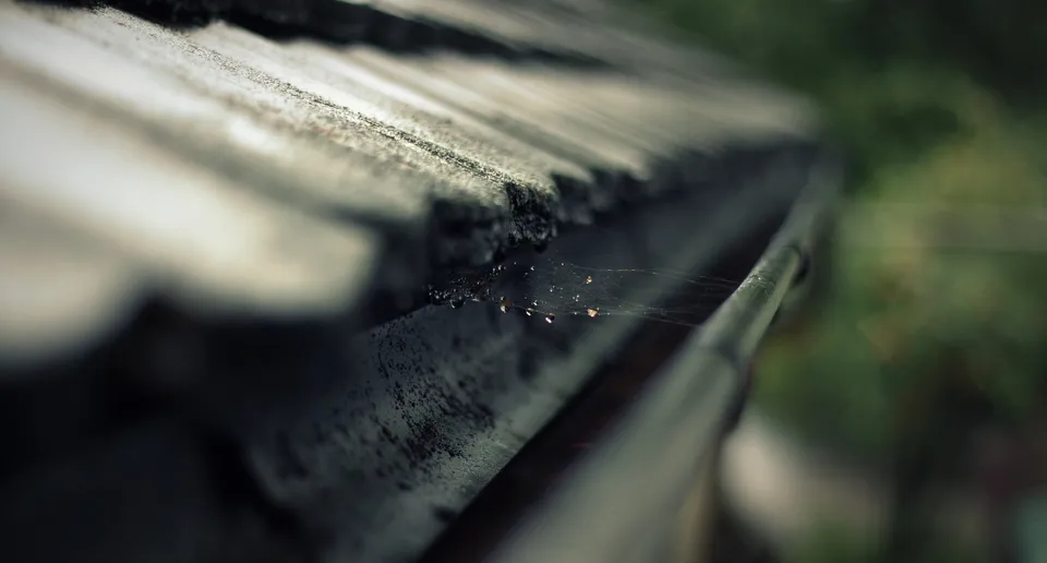 Gutters